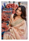 Jimmy Vol 6 By LT Pn Cloud Party Wear Saree Wholesalers In Surat
